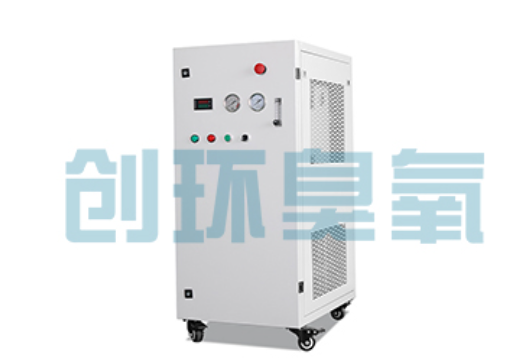 河南石斑鱼养殖水质调控完整指南:臭氧发生器配置与操作步骤