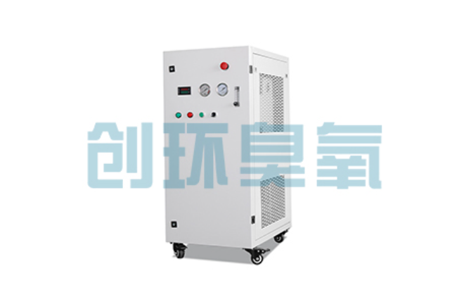 河南比传统换水更高效?臭氧发生器在石斑鱼养殖中的水质净化原理解析